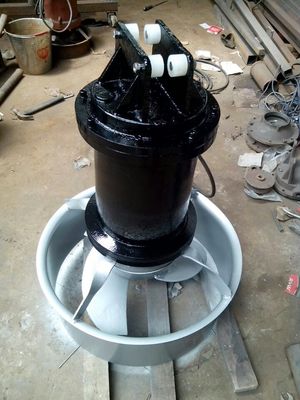 China Submersible Mixer pump （Iron Cast，Stainless Steel，can with leak sensor) supplier