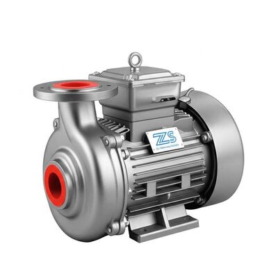 Good price 2900-3450 Rpm ZS Stainless Steel horizontal single-stage centrifugal pump 50 60 Hz frequency durable corrosion resistant online